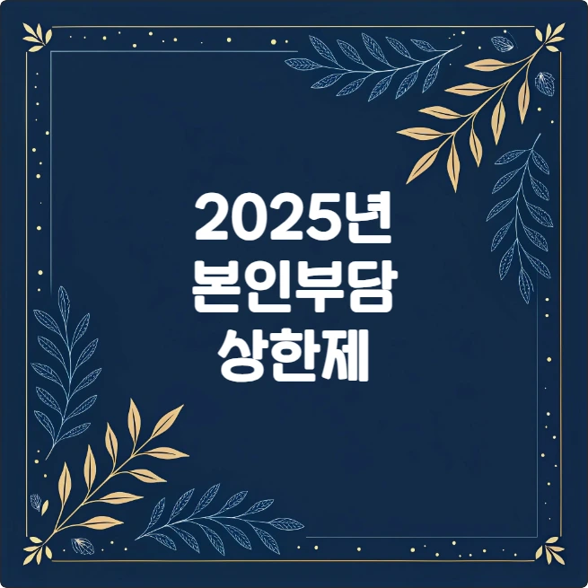 2025년 본인부담상한제 환급 신청 방법 (초과금 계산, 소득분위 기준) 2025년 본인부담상한제 환급 신청 방법 (초과금 계산, 소득분위 기준)