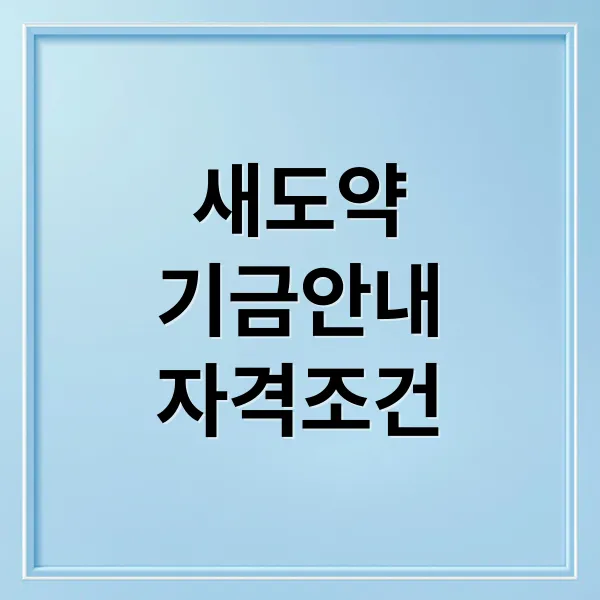 새도약기금: 최대 5천만원 지원! 자격 조건, 신청 방법 완벽 가이드 새도약기금: 최대 5천만원 지원! 자격 조건, 신청 방법 완벽 가이드